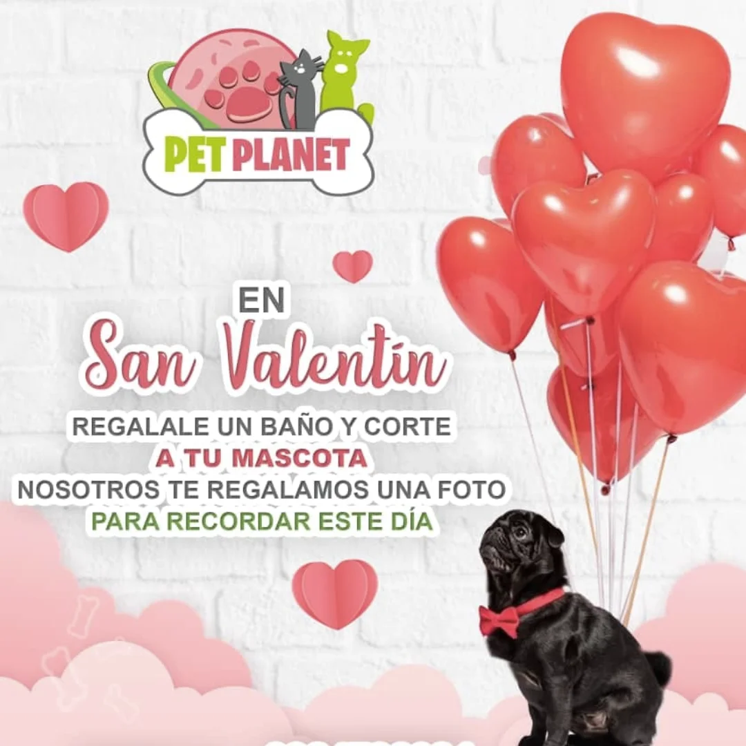 Campaña original de san valentín con perros