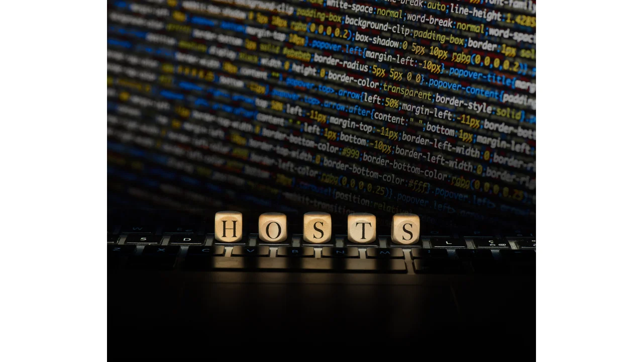 servicio de video hosting
